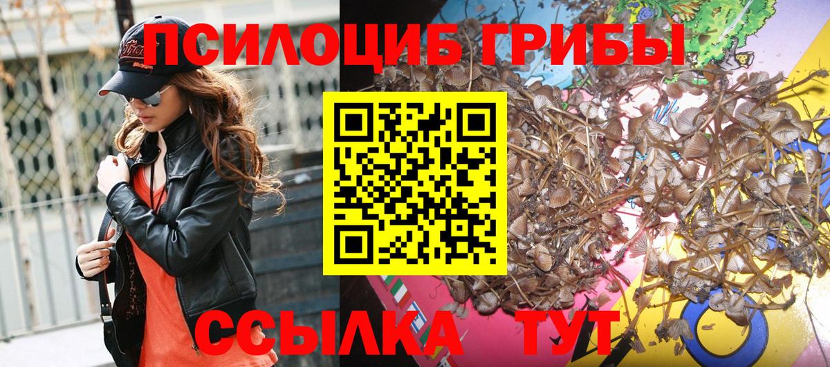 Екатеринбург  Галлюциногенные грибы Magic Shrooms  Вход с VPN  Галлюциногенные грибы Cubensis 