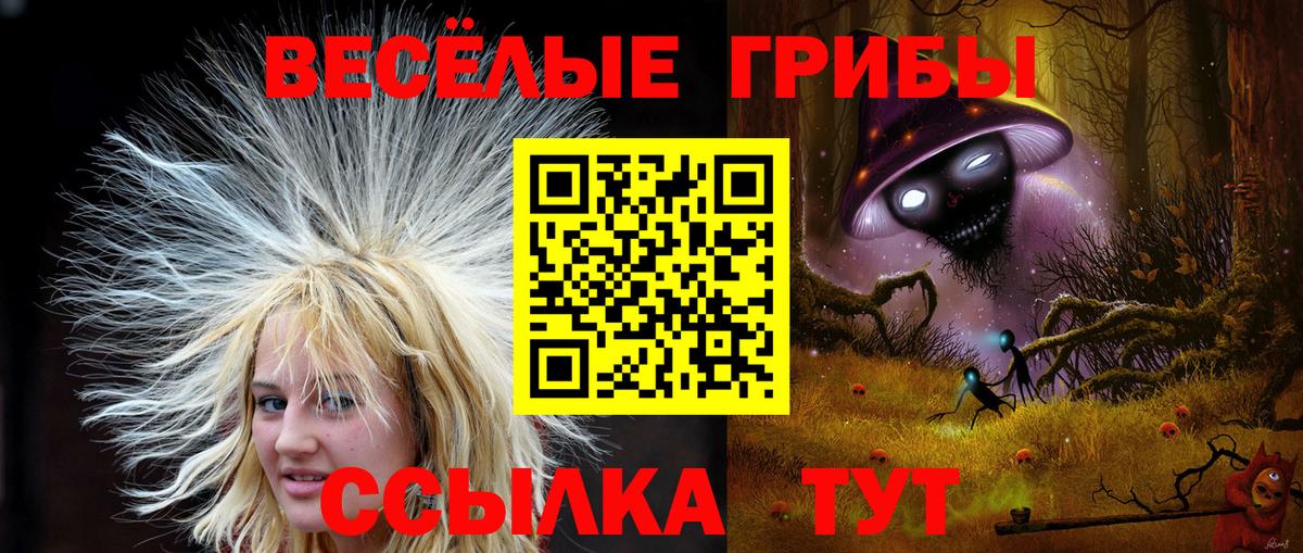 Галлюциногенные грибы MAGIC MUSHROOMS Екатеринбург